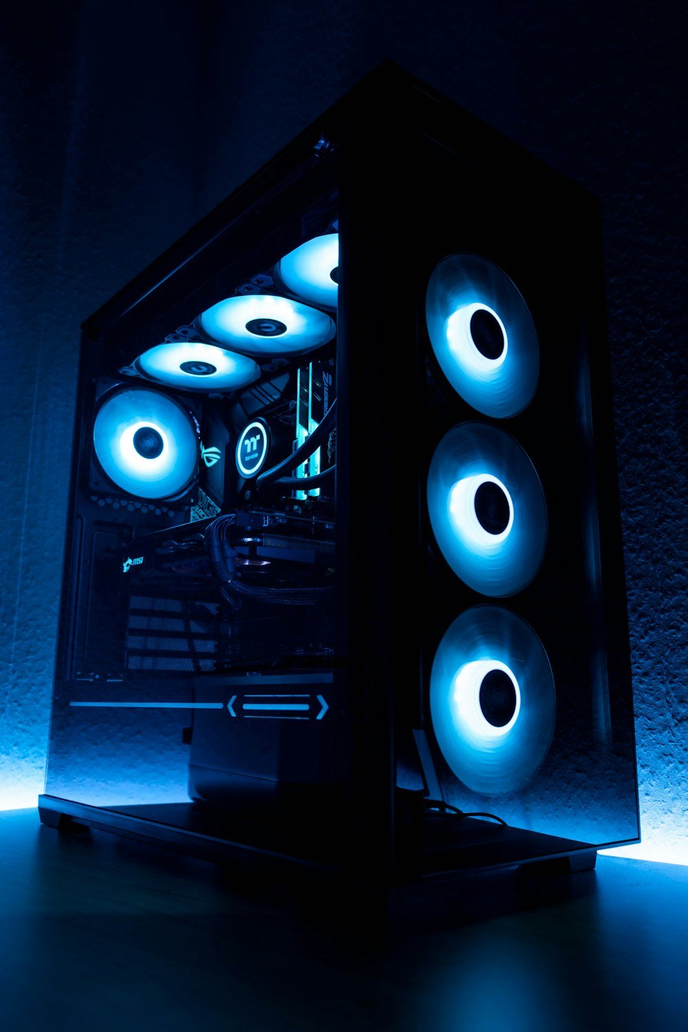 Apex Predator Custom Rig